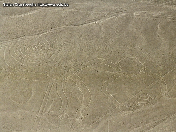 Nazca - Aap In 1939 ontdekte men in de woestijnstreek van Nazca vreemde figuren die enkel vanuit de lucht zichtbaar zijn. Nog steeds hebben deze figuren die gemaakt werden door een pre-inca beschaving vele raadsels. Stefan Cruysberghs